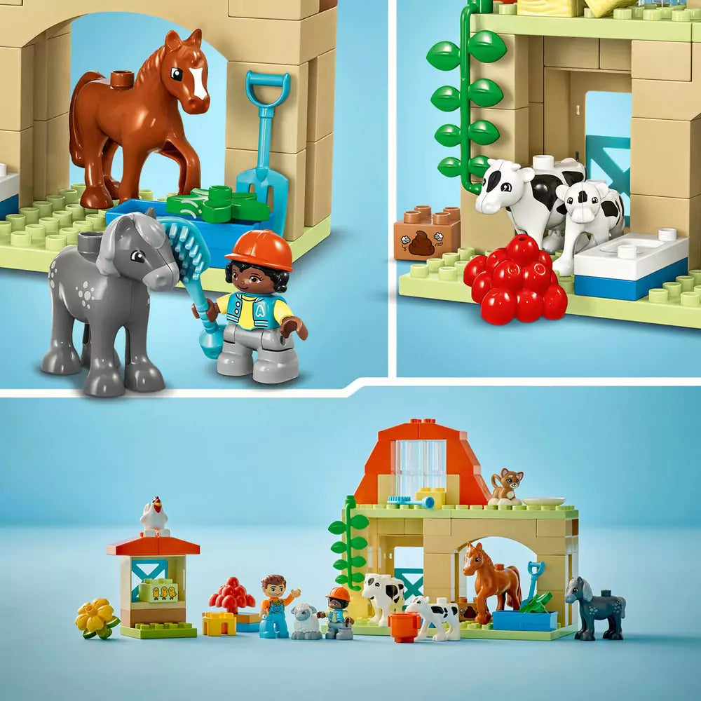 LEGO DUPLO Állatok gondozása a farmon 10416