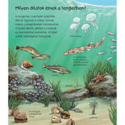 A képen egy ismeretterjesztő gyermekkönyv oldala látható, amely a tengeri élővilágot mutatja be. Az illusztráción különböző tengeri állatok szerepelnek, például fülesmedúza, macskacápa, tőkehal, garnéla, tengeri csillag, tengeri kagylók és csőféreg. A szöveg érdekességeket mesél a vízben úszó és a tengerfenéken élő állatokról, valamint azok mozgásáról és életmódjáról.