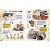 Kiscicát szeretnék könyv - kiscicák fejlődéséről szóló információk: A kiscicák fejlődését bemutató illusztrált oldalak a könyvből.