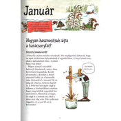 Alt szöveg: Az „Egész évben Pettsonnal és Findusszal” januári oldala, rajzos útmutatóval a karácsonyfa újrahasznosításához és egy kásakeverő készítéséhez, Pettson illusztrált figurájával.