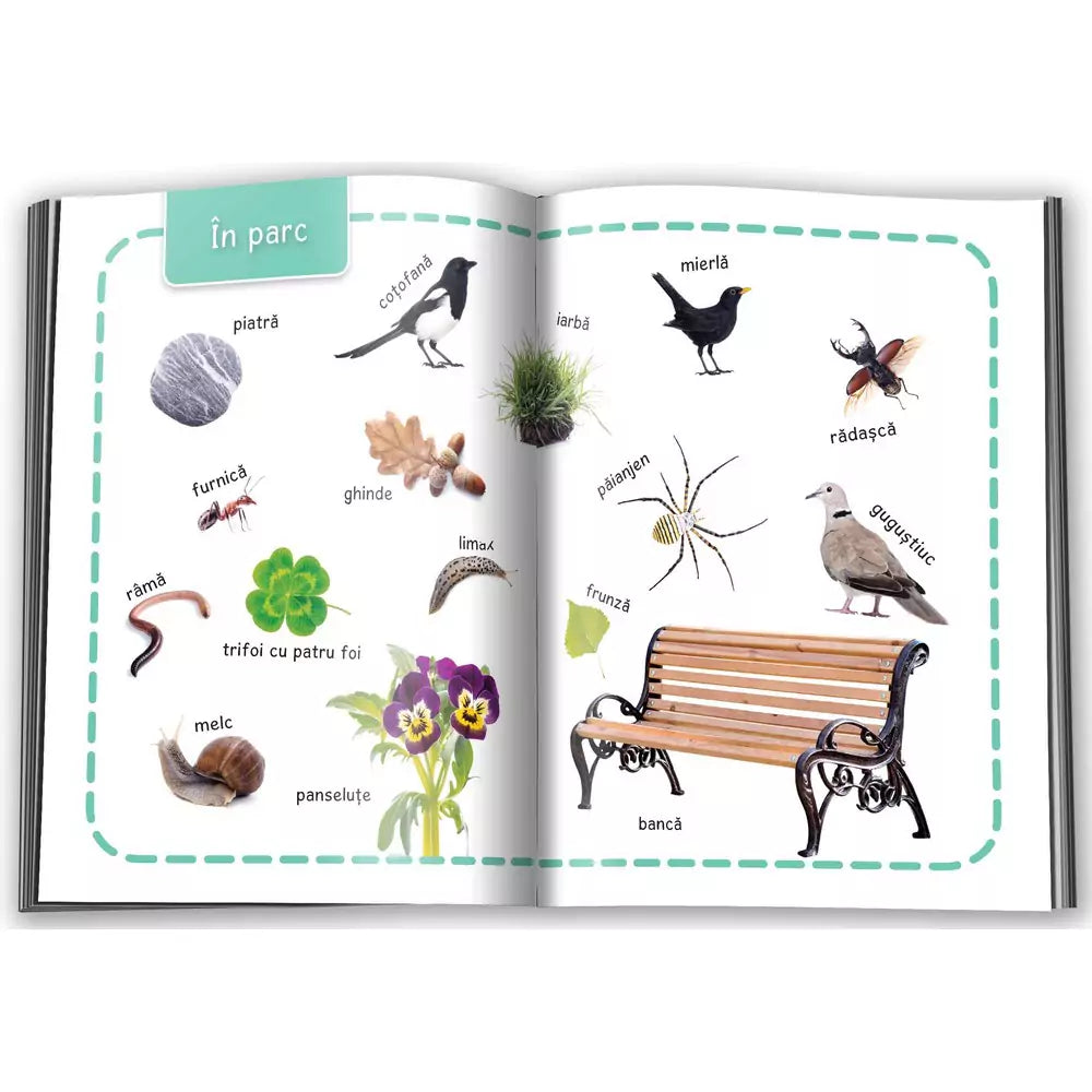 Natura, Învâț 100 de cuvinte - Carte Cartonată