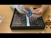 Brass: Birmingham angol nyelvű társasjáték