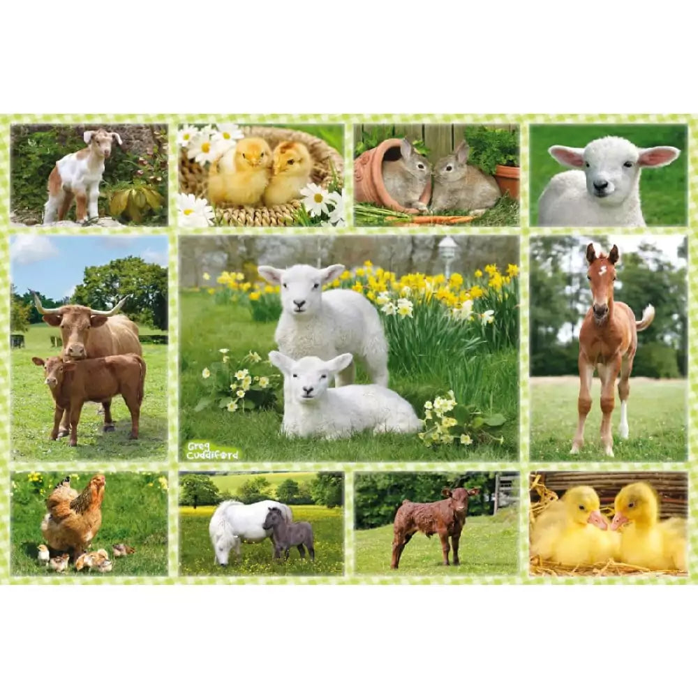 A farm állatai 100 darabos Schmidt Puzzle