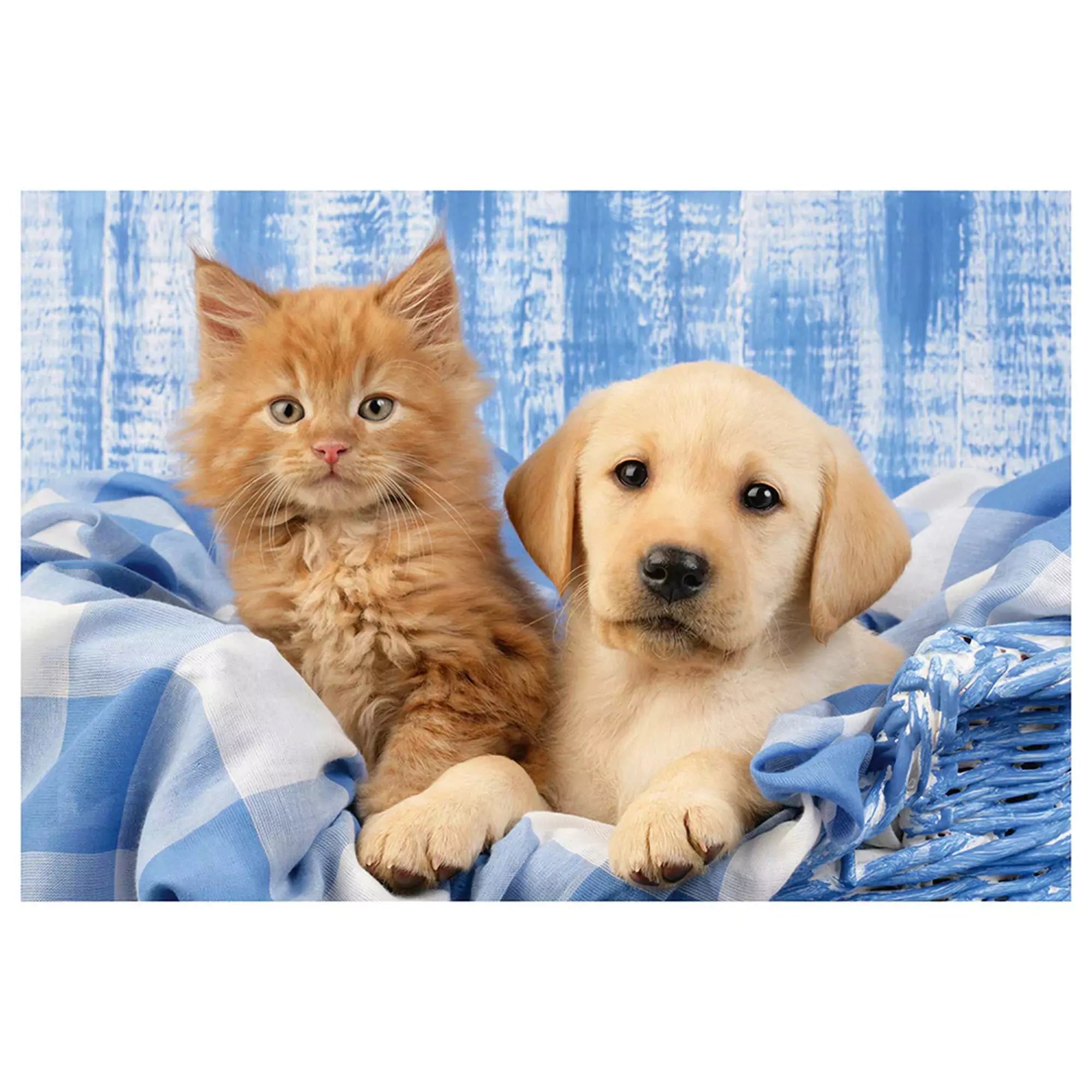 „Puzzle Schmidt, Aranyos állatkáim – vörös cica és világos színű kölyökkutya kék-fehér takarón, barátságos kompozícióban.”