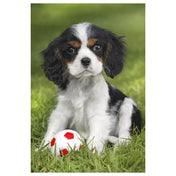 „Puzzle Schmidt, Aranyos állatkáim – fekete-fehér kölyökkutya piros-fehér labdával zöld fűben, az egyik kirakó képe a szettből.”