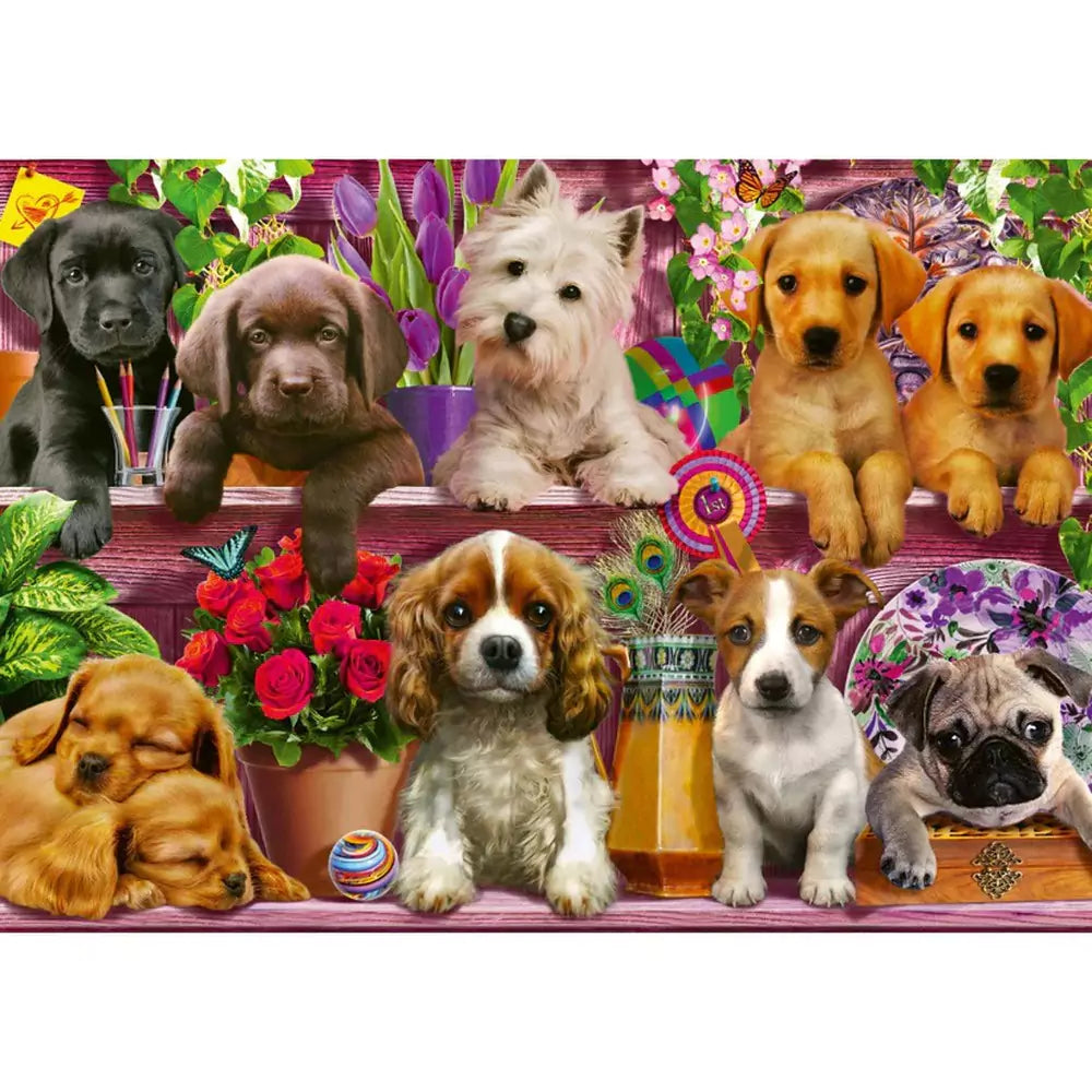 500 darabos puzzle - Puppies on the shelf, Schmidt