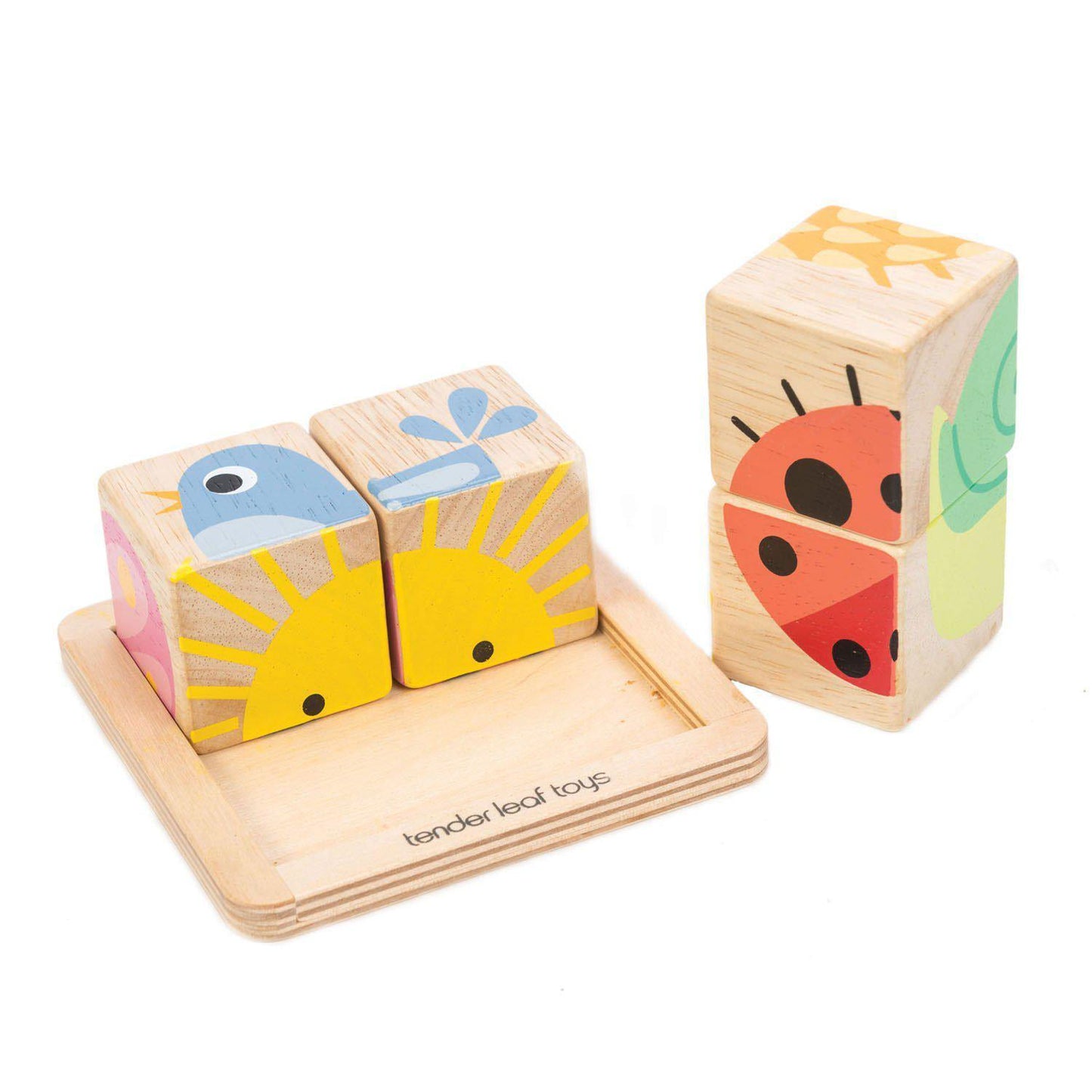 Oktató illusztrált kockák, prémium minőségű fából - Baby Blocks - 5 darab - Tender Leaf Toys-Tender Leaf Toys-3-Játszma.ro - A maradandó élmények boltja