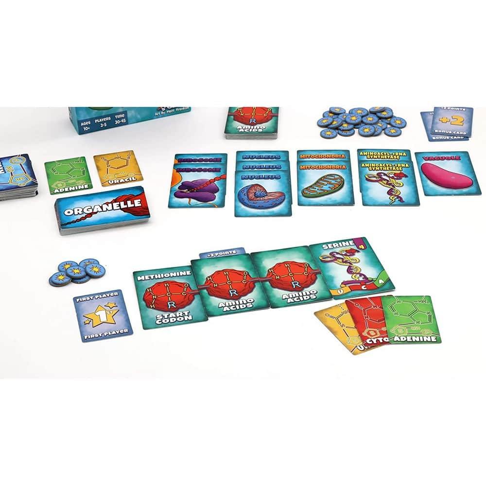Peptide: A Protein Building Game - Játszma.ro - A maradandó élmények boltja