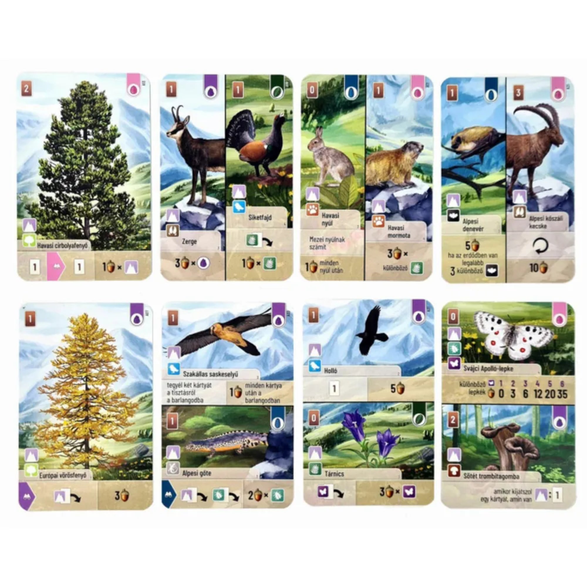 Az „Az erdő: Alpok” társasjáték részletes kártyái, különböző alpesi fajokkal, köztük sasokkal, lepkékkel, fenyőfákkal és hegyi állatokkal illusztrálva.
