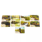 „Az Erdő: Dartmoor festett tájkártyái, erdők, rétek, patakok és lápvidék grafikákkal.”