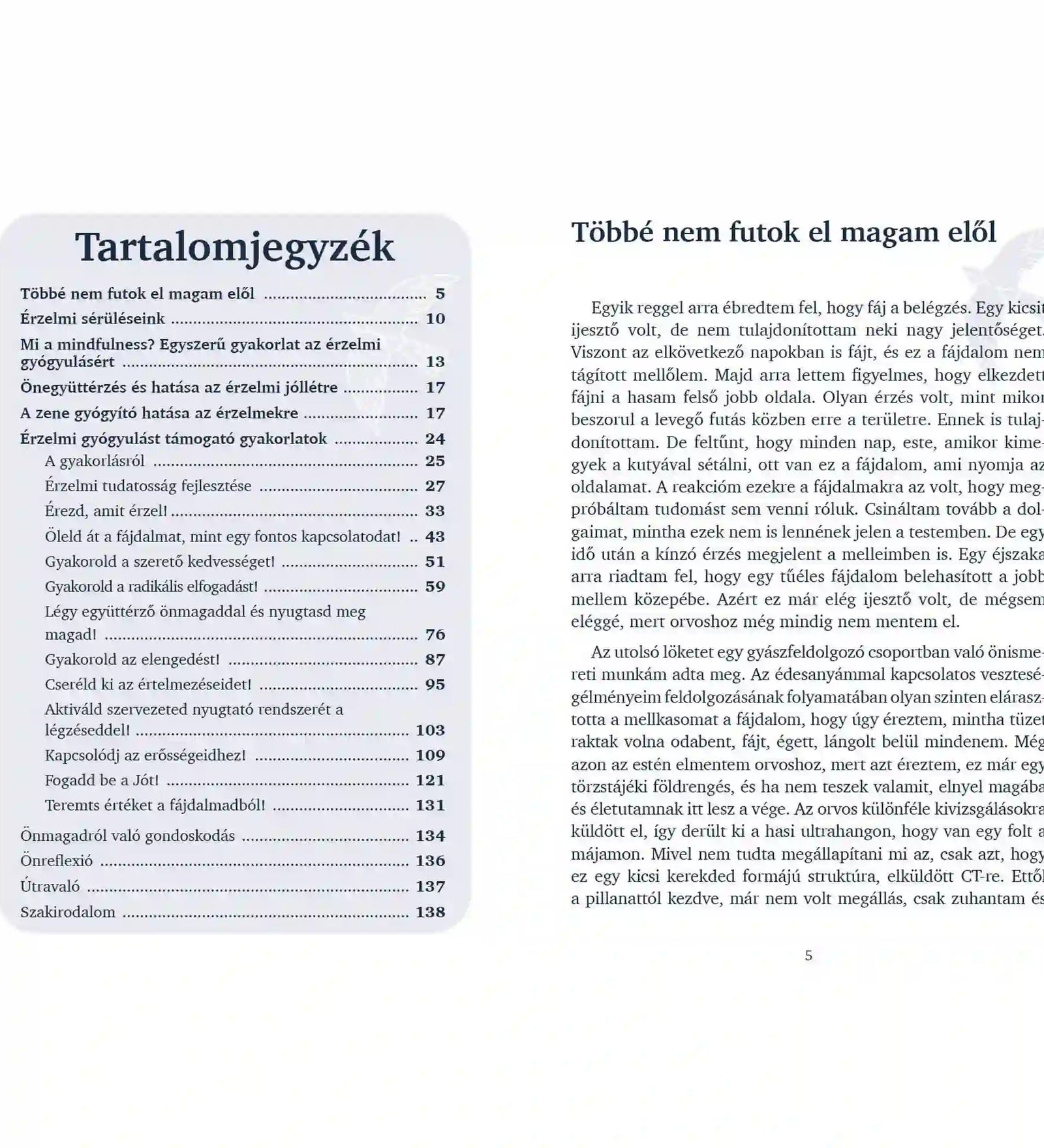 Érzelmi gyógyulás – könyv belső oldalak tartalomjegyzékkel: Nyitott könyv tartalomjegyzékkel és szöveges oldalakkal, az érzelmi gyógyulás témáit bemutató fejezetekkel.