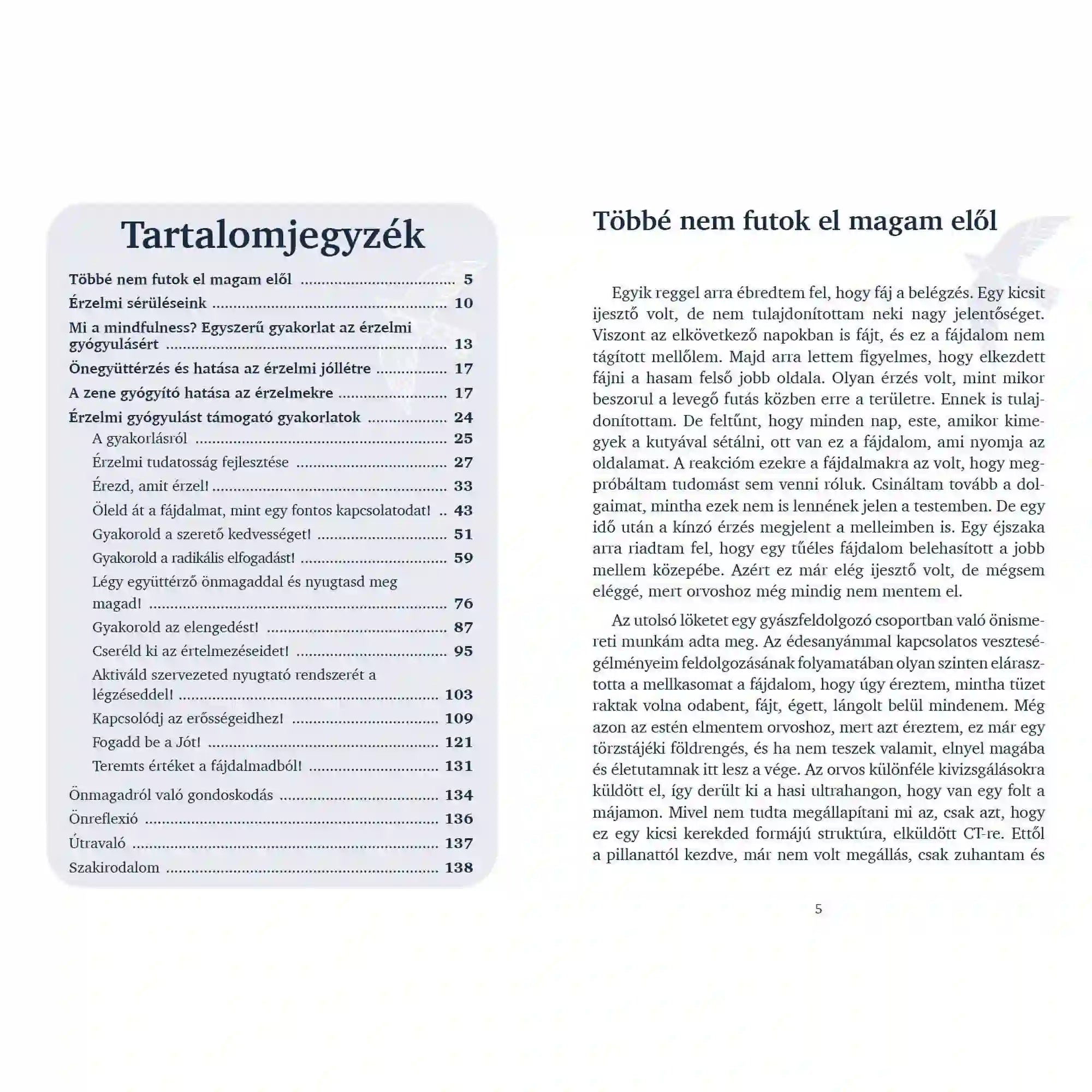Érzelmi gyógyulás – könyv belső oldalak tartalomjegyzékkel: Nyitott könyv tartalomjegyzékkel és szöveges oldalakkal, az érzelmi gyógyulás témáit bemutató fejezetekkel.
