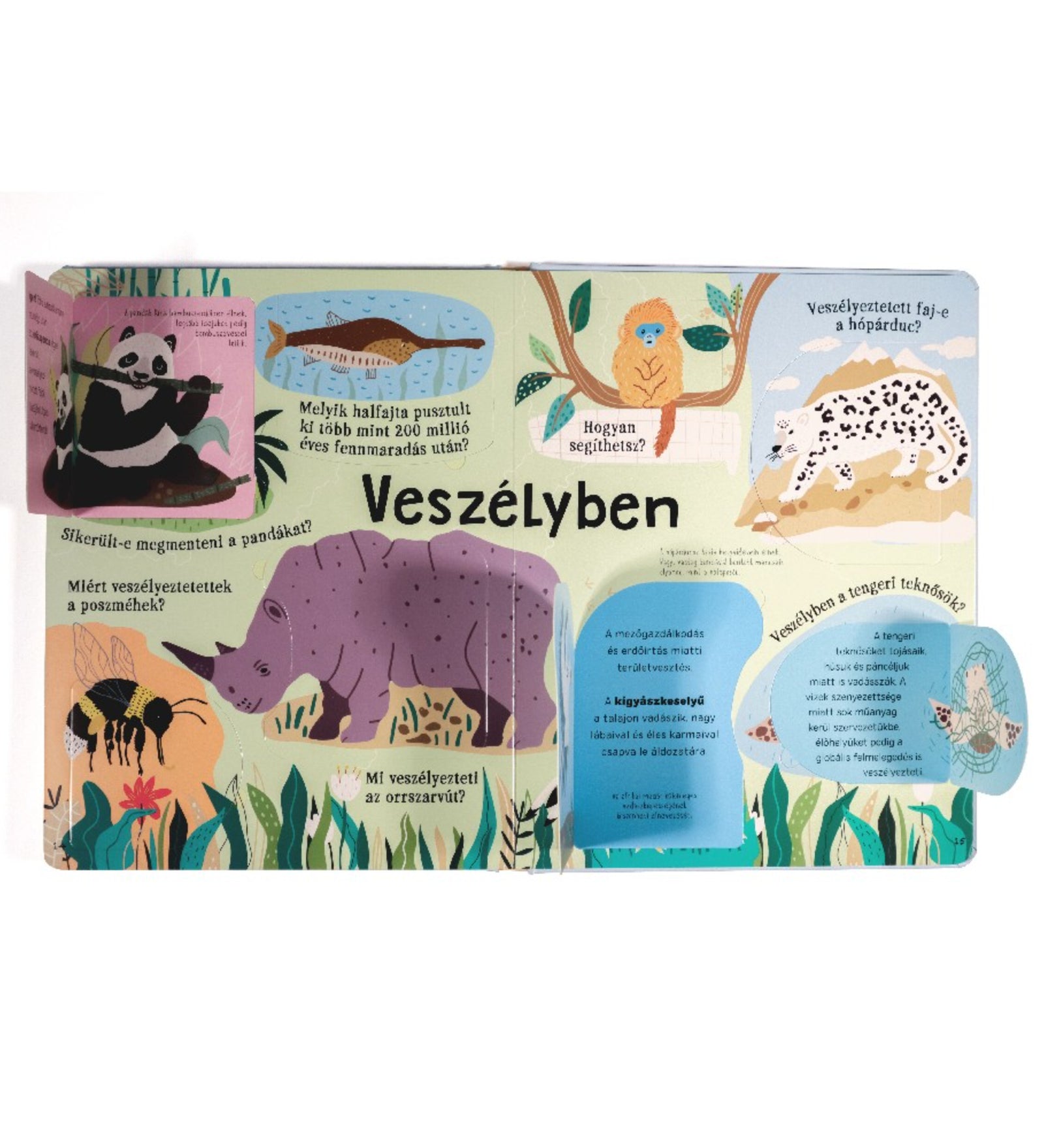 Ez állati! könyv belső oldala „Veszélyben” témával, veszélyeztetett állatok illusztrációival és kihajtható fülekkel.