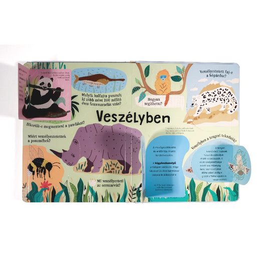 Ez állati! könyv belső oldala „Veszélyben” témával, veszélyeztetett állatok illusztrációival és kihajtható fülekkel.