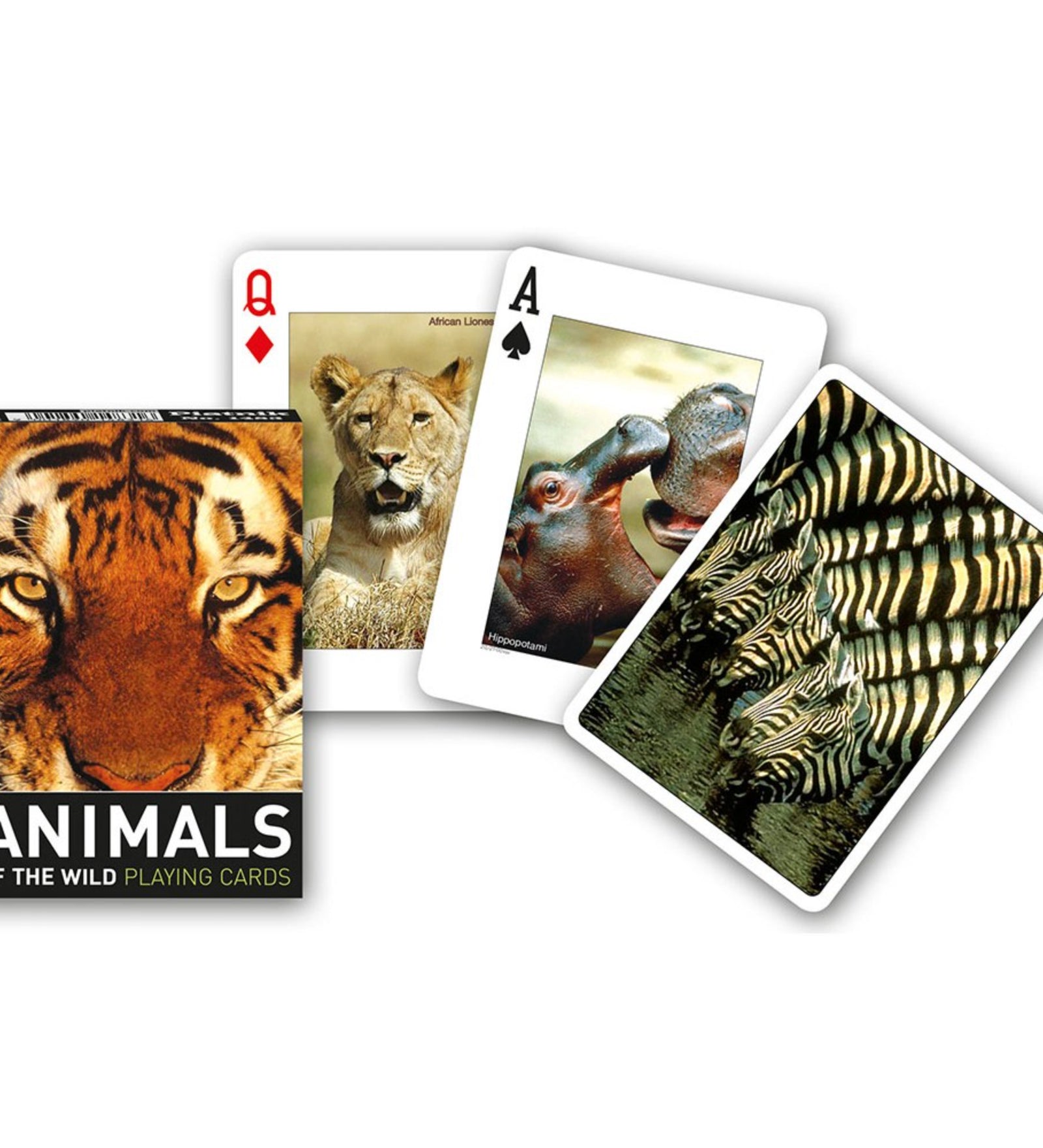 Francia kártya 1x55-ös „Animals of the Wild” készlet dobozzal, vadállatokat ábrázoló fotókkal, oroszlán, víziló és zebra grafikákkal díszített játékkártyákkal.