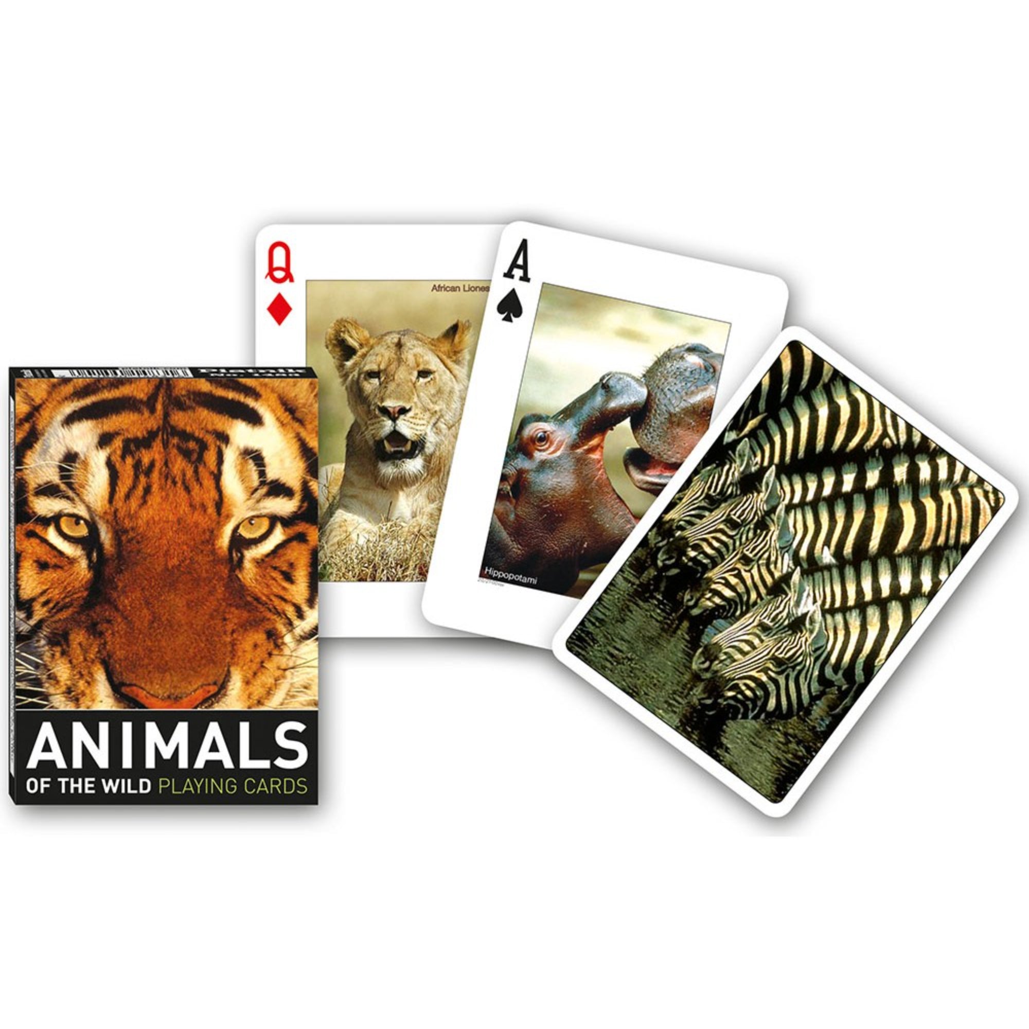 Francia kártya 1x55-ös „Animals of the Wild” készlet dobozzal, vadállatokat ábrázoló fotókkal, oroszlán, víziló és zebra grafikákkal díszített játékkártyákkal.