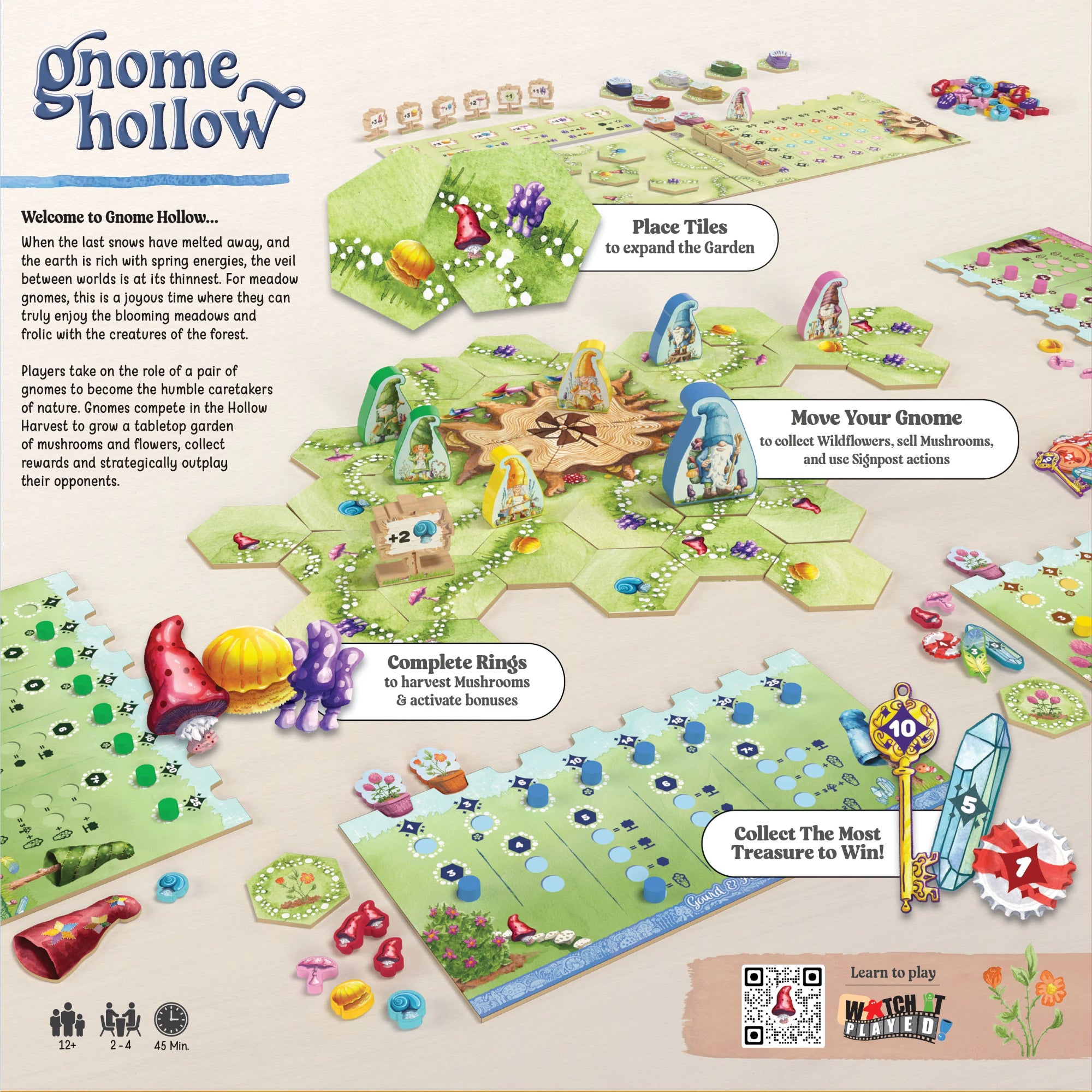 Gnome Hollow játékszabály bemutató tábla angol nyelven, a játék céljával és játéktérrel.