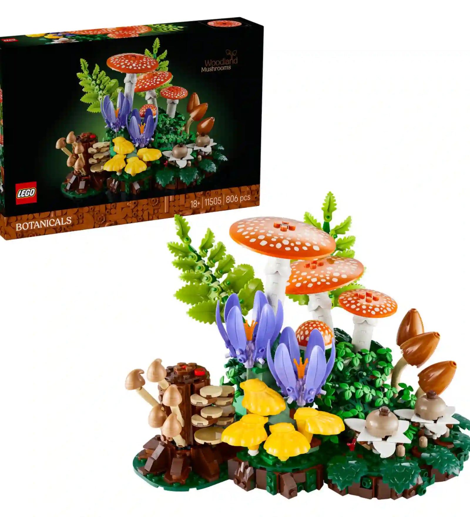 LEGO Botanicals Erdei gombák (11505) készlet dobozképe és a megépített erdei jelenet, amely légyölő galócákat, vadvirágokat, páfrányokat és különféle gombafajtákat ábrázol részletgazdag növényi kompozícióban.