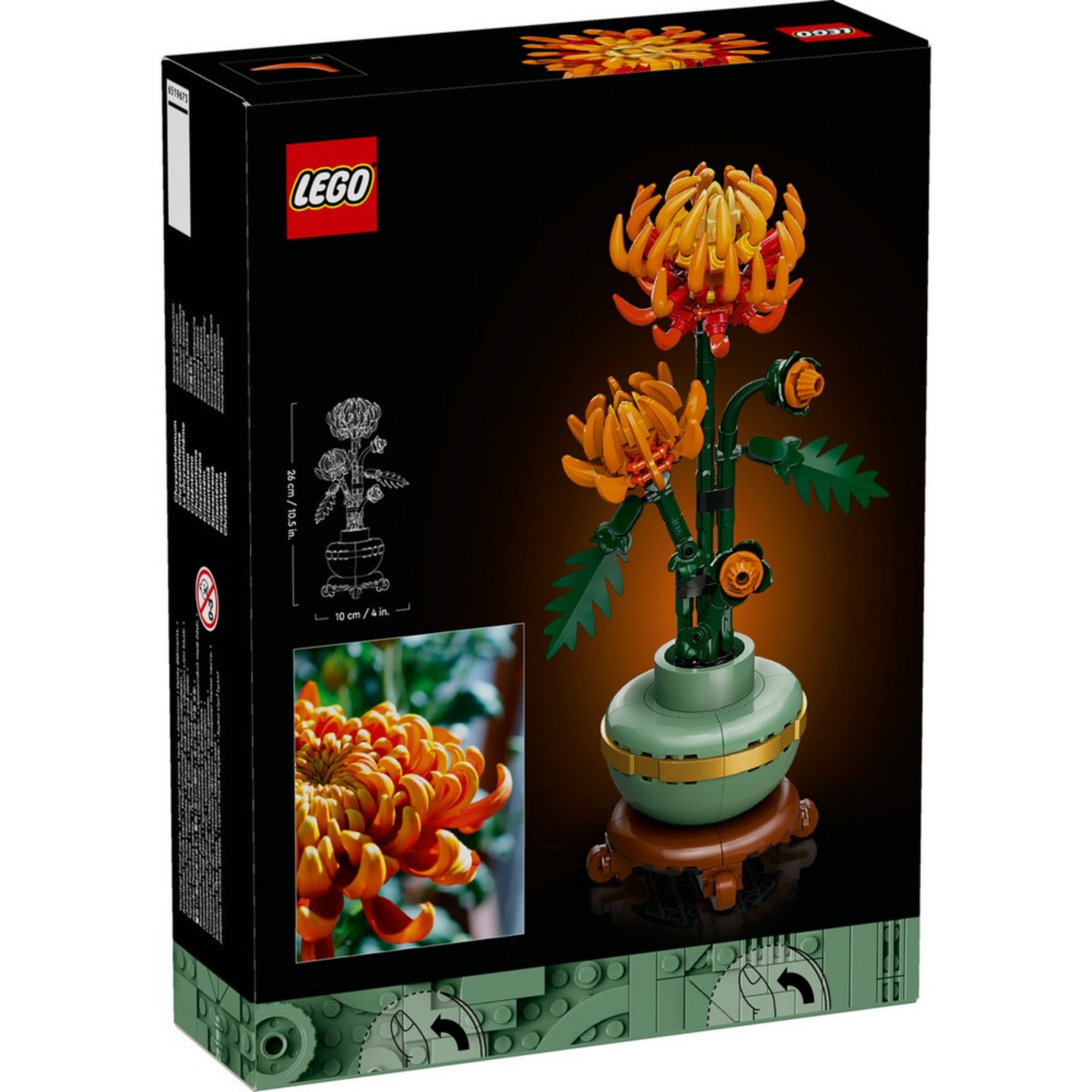 A LEGO Botanicals 10368 Chrysanthemum doboz hátlapja, melyen a kész modell, egy valódi krizantém fotója és méretarány is szerepel.
