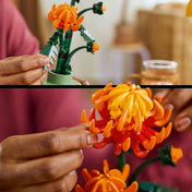 Két közeli jelenet, amelyeken egy személy narancssárga LEGO krizantém virágokat állít össze kézzel a LEGO Botanicals 10368 Chrysanthemum készletből.
