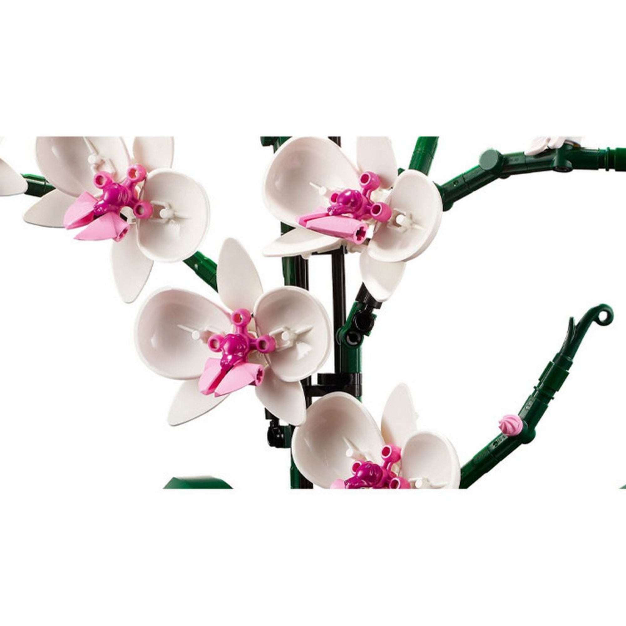 Részletes közelkép a LEGO Orchid (10311) készlet rózsaszín-fehér orchidea virágairól, zöld szárakkal és realisztikus építőelemekből készült virágszirmokkal.