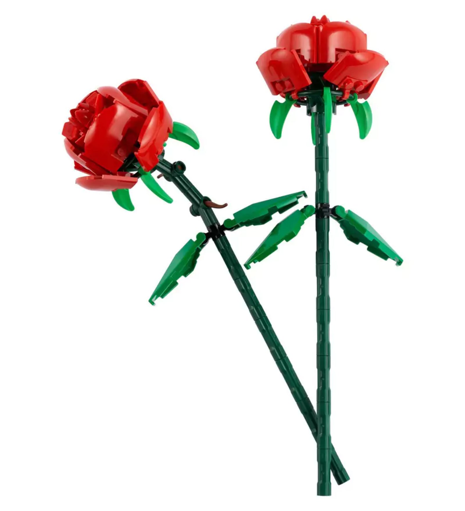 Két épített piros LEGO rózsa sötétzöld szárakkal és levélrészekkel fehér háttér előtt, a LEGO Rózsák (40460) készlet elemei.