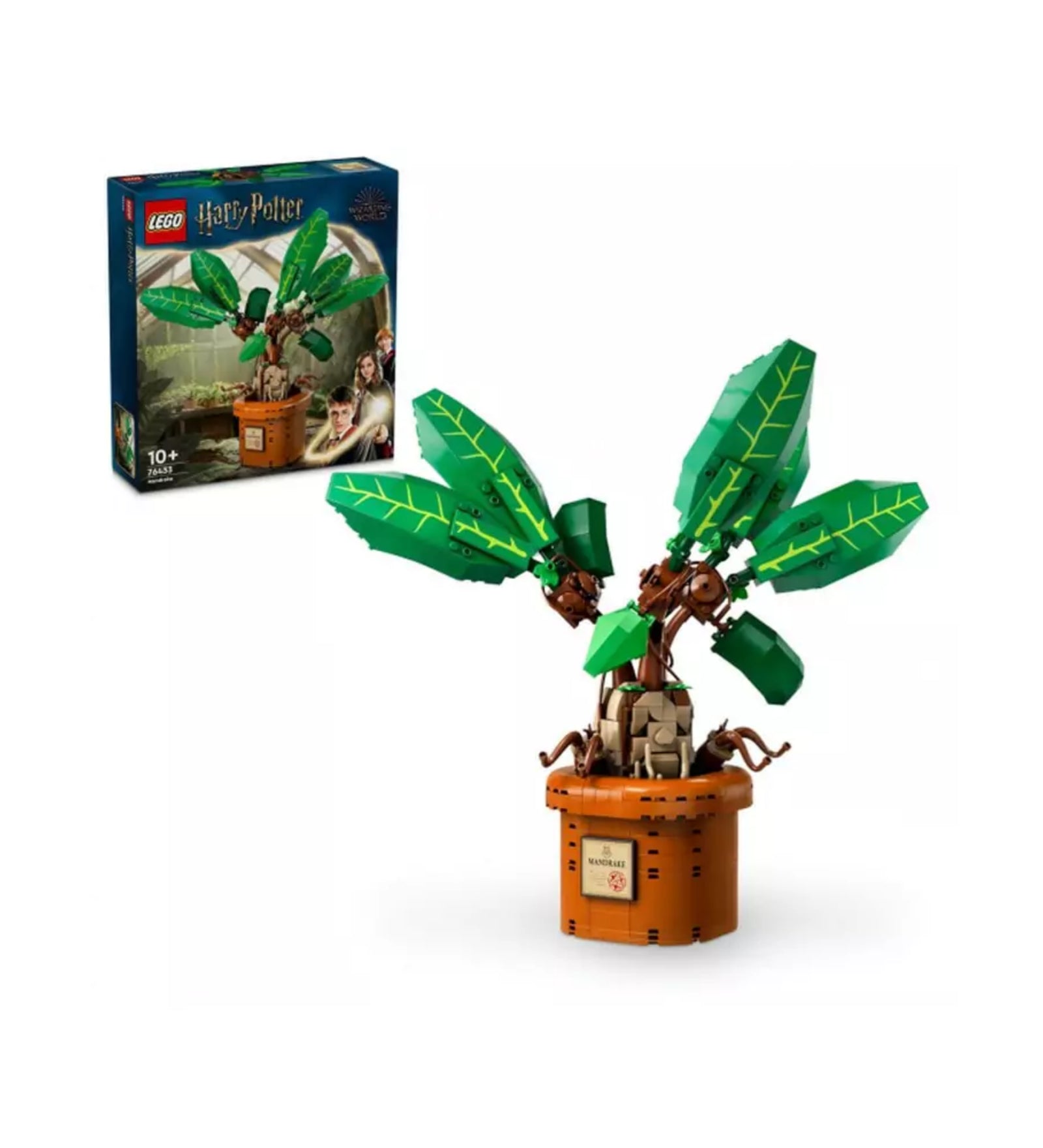 A LEGO Harry Potter Mandragóra (76433) szettje 579 elemből, amelyen a teljesen összerakott mandragóra növény egy cserépben áll, háttérben a színes dobozzal.