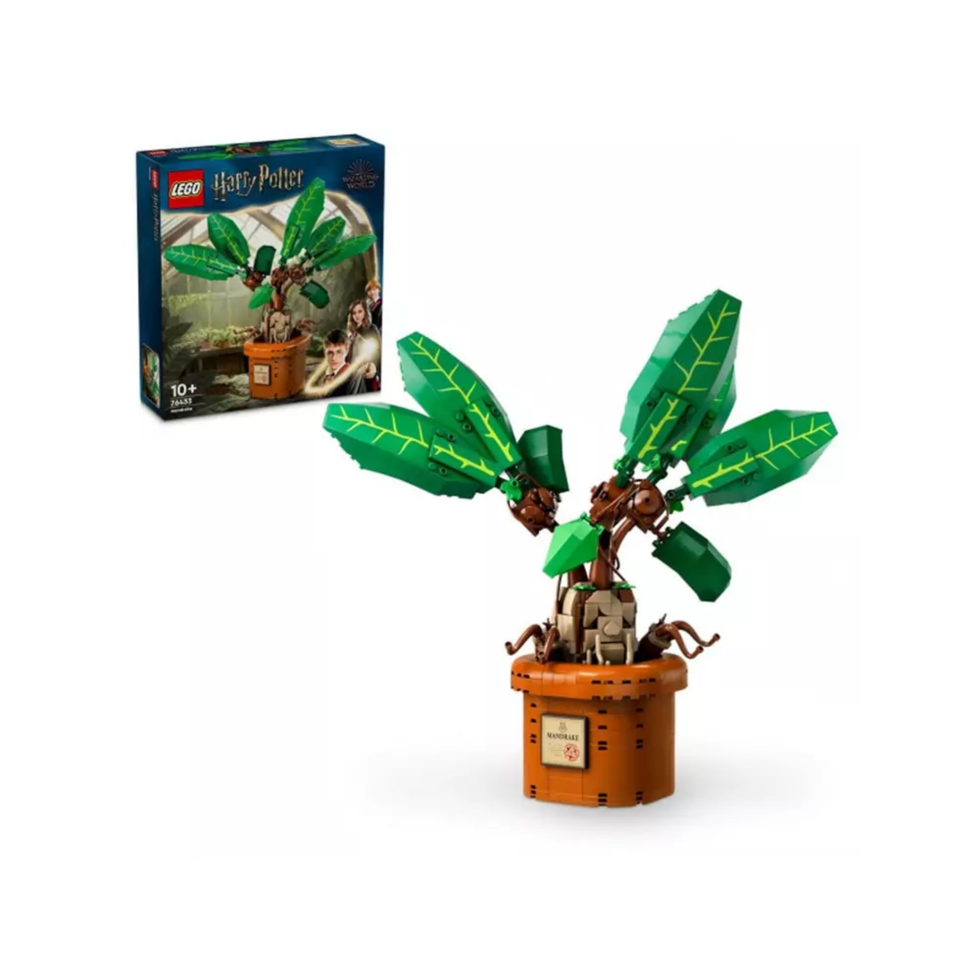 A LEGO Harry Potter Mandragóra (76433) szettje 579 elemből, amelyen a teljesen összerakott mandragóra növény egy cserépben áll, háttérben a színes dobozzal.