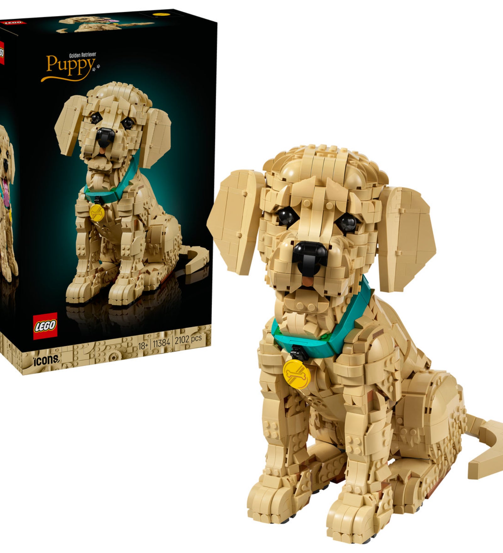 LEGO Icons Golden Retriever Puppy (11384) készlet doboza és a megépített kutya modell egymás mellett, fekete prémium csomagolásban.