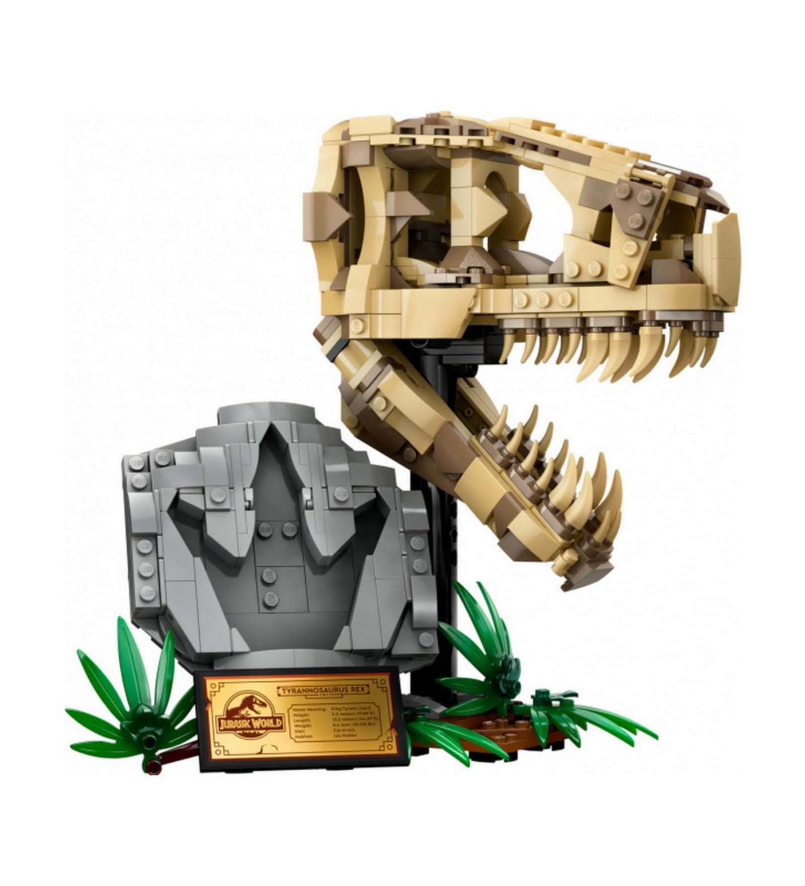 LEGO Jurassic World T. Rex koponya (76964) – a kész modell oldalnézetből, részletesen megépített csontvázzal, sziklás talapzaton Jurassic World táblával és zöld növénydíszekkel.