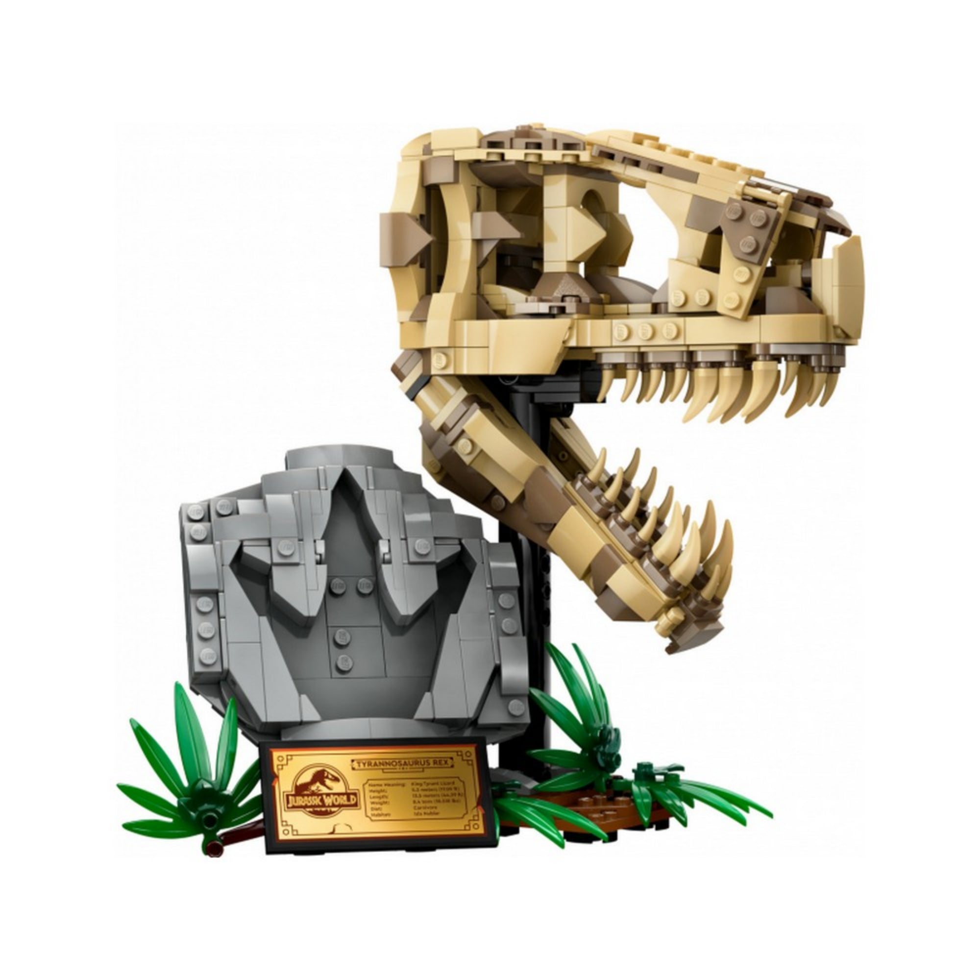 LEGO Jurassic World T. Rex koponya (76964) – a kész modell oldalnézetből, részletesen megépített csontvázzal, sziklás talapzaton Jurassic World táblával és zöld növénydíszekkel.