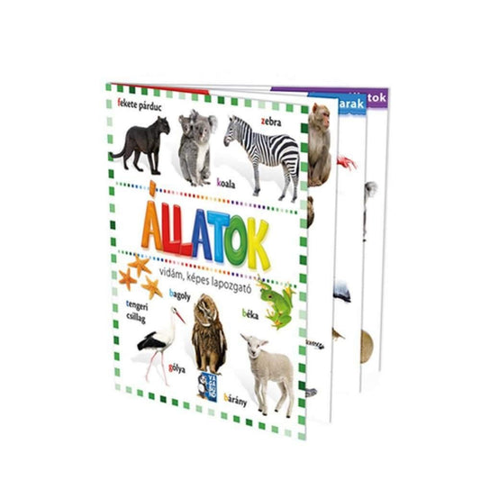 Állatok – vidám, képes lapozgató gyerekkönyv borítója, amelyen különféle állatok láthatók, például fekete párduc, koala, zebra, gólya, bagoly, béka és bárány.