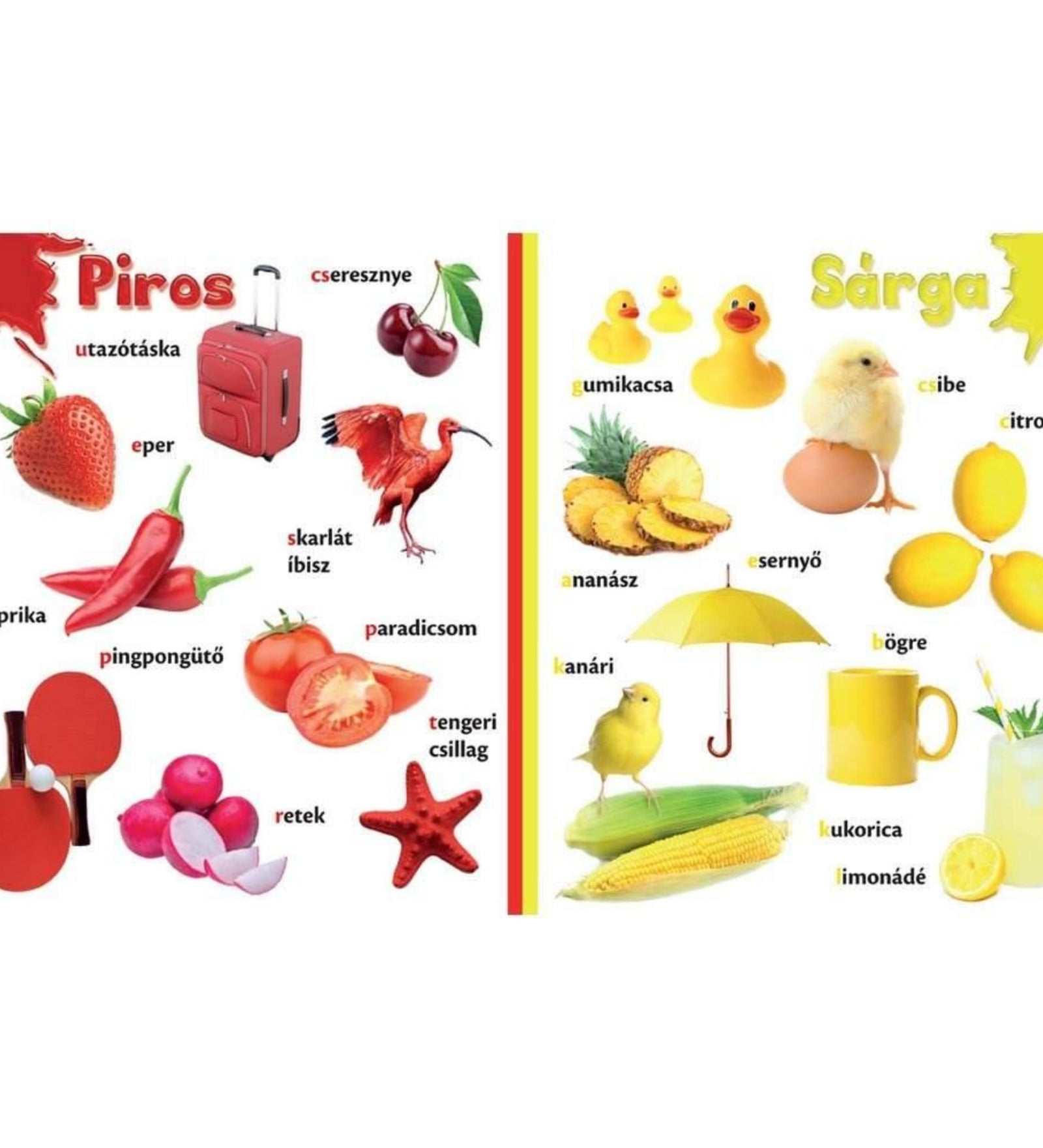Színek gyerekkönyv belső oldala, ahol a piros és sárga színekhez kapcsolódó tárgyak és állatok szerepelnek, például paprika, paradicsom, cseresznye, csibe, citrom és napernyő.