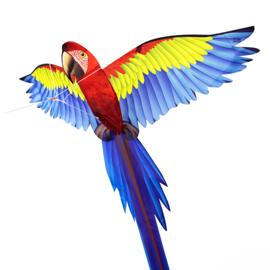 Könnyen összeállítható pop-up szélsárkány 3D papagáj