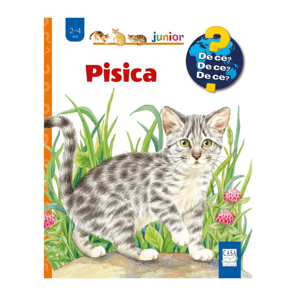 Pisica román nyelvű könyv