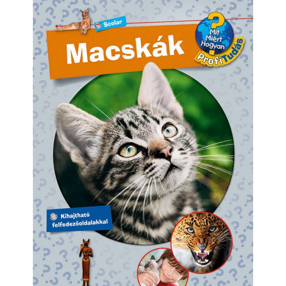 Macskák (Mit? Miért? Hogyan? Profi Tudás) magyar nyelvű könyv