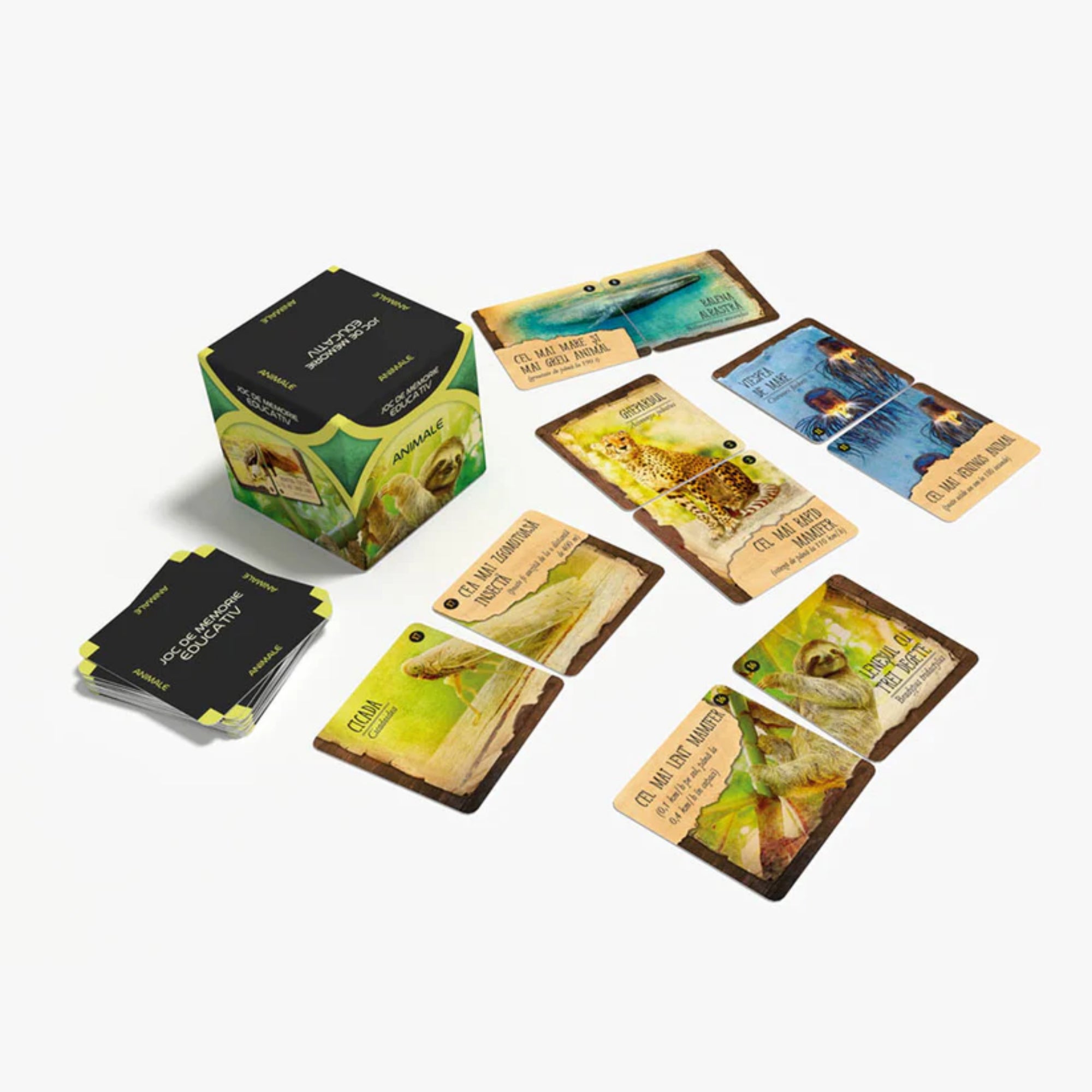 Smart Memo Animale román nyelvű memóriajáték doboza és kiterített kártyák, állatfotókkal és párosító feladatokkal, fehér háttéren