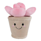 Szukkulens cserépben: Rózsaszín plüssfigura, 13 cm