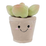 Szukkulens cserépben: Zöld plüssfigura, 13 cm