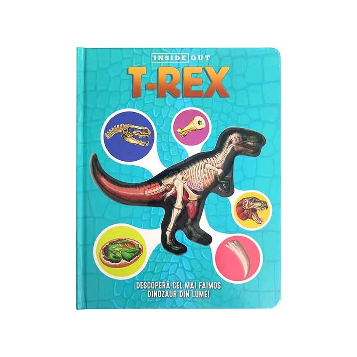 T-Rex 3D model, román nyelvű könyv