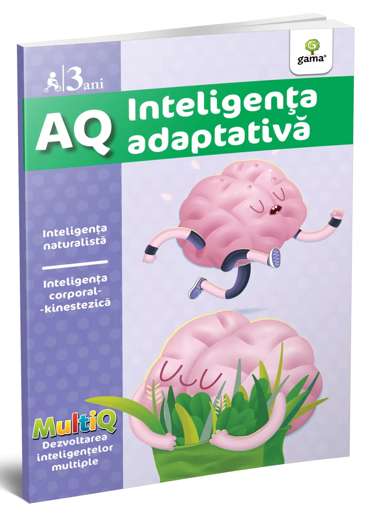 AQ 3 ani- carte cu exerciții pentru dezvoltarea inteligenței adaptative - könyv