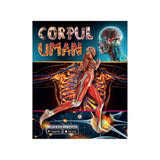 Corpul uman, aplicație gratuită román nyelvű könyv