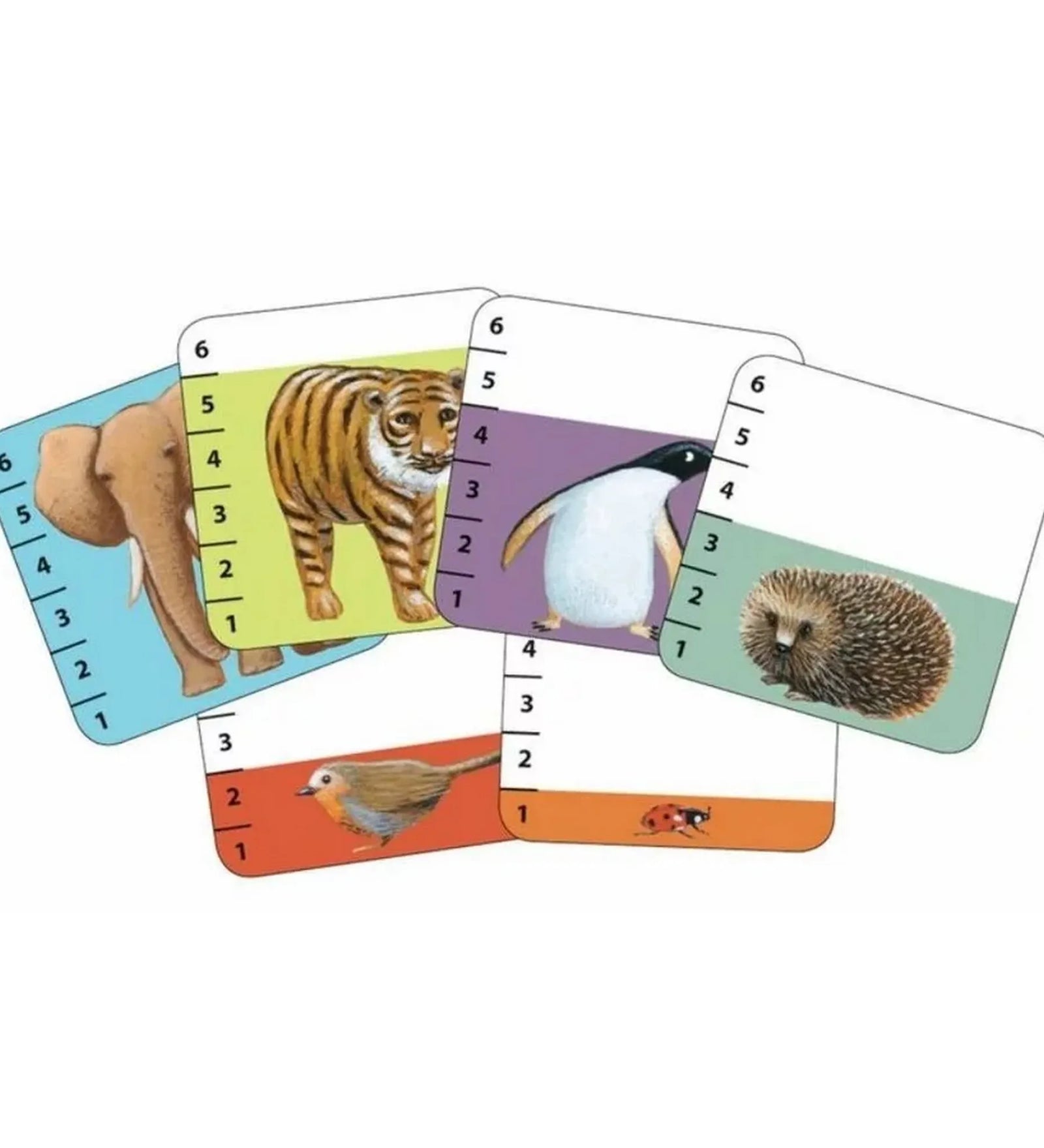 A Djeco Batanimo kártyajáték színes kártyái különböző állatokkal – elefánt, tigris, pingvin, sün, madár és katica – számozott értékekkel, egymás mellett elrendezve.