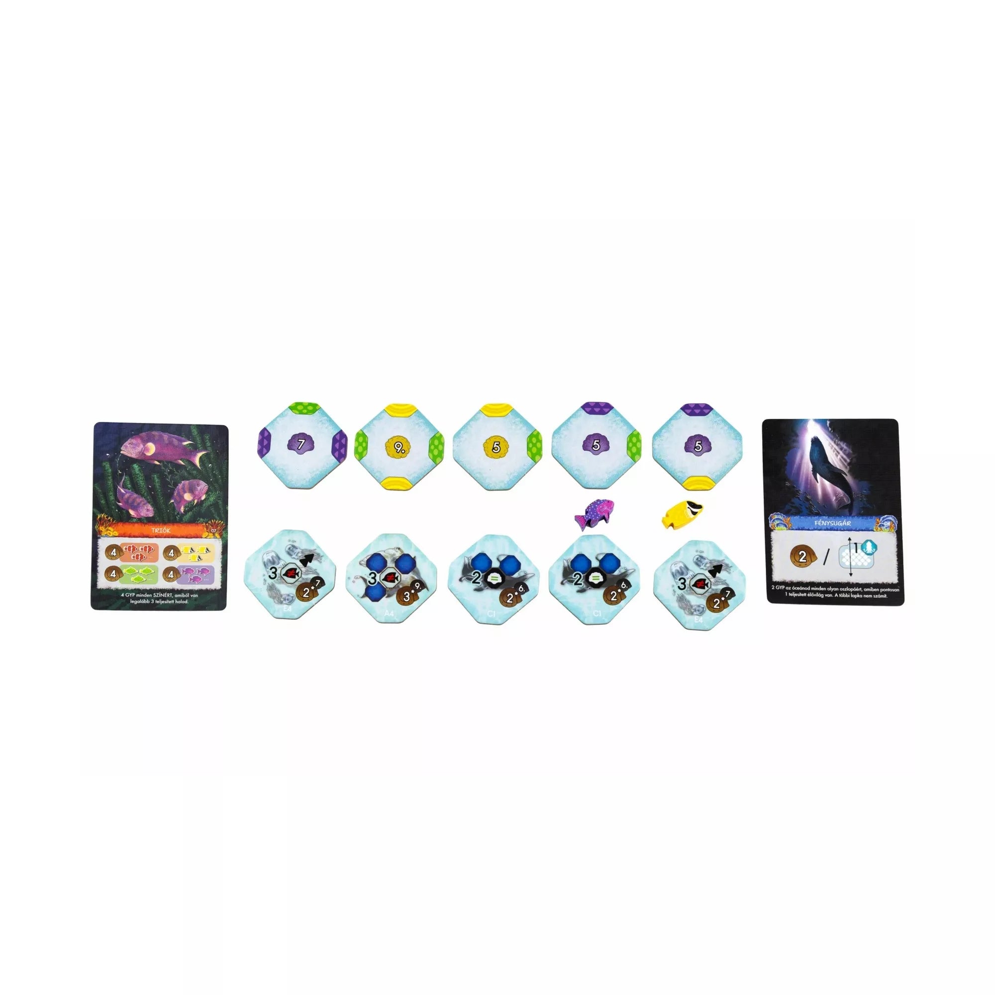 Korallzátony társasjáték korall- és élőviláglapkái pontértékekkel