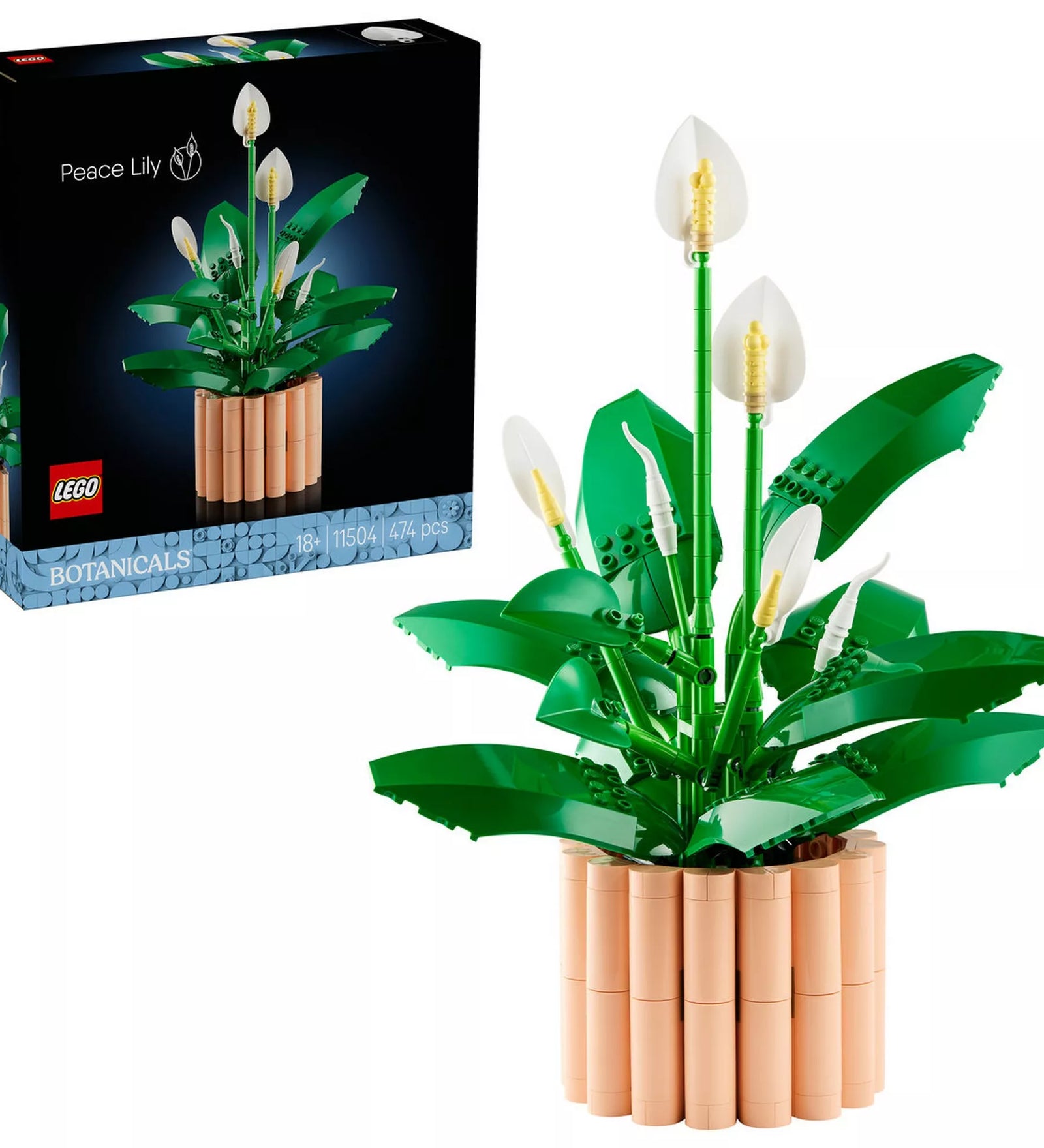 LEGO Botanicals Peace Lily (11504) készlet megépített modellje és az eredeti doboz egymás mellett, fehér háttéren, jól látható dekorációs növény és csomagolás.