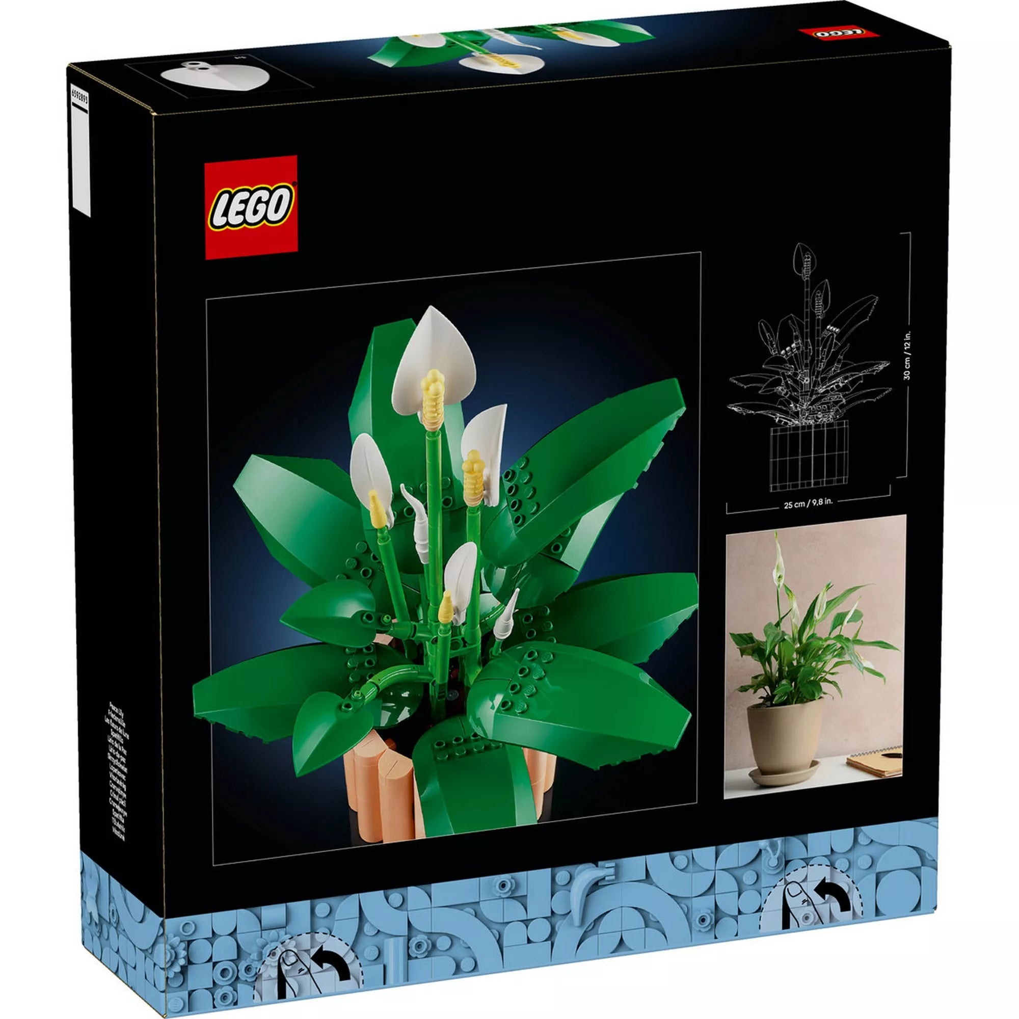 LEGO Botanicals Peace Lily (11504) készlet hátoldali dobozképe, a megépített békeliliom részletes bemutatásával, méretarányos ábrával és valódi növényről készült inspirációs fotóval.