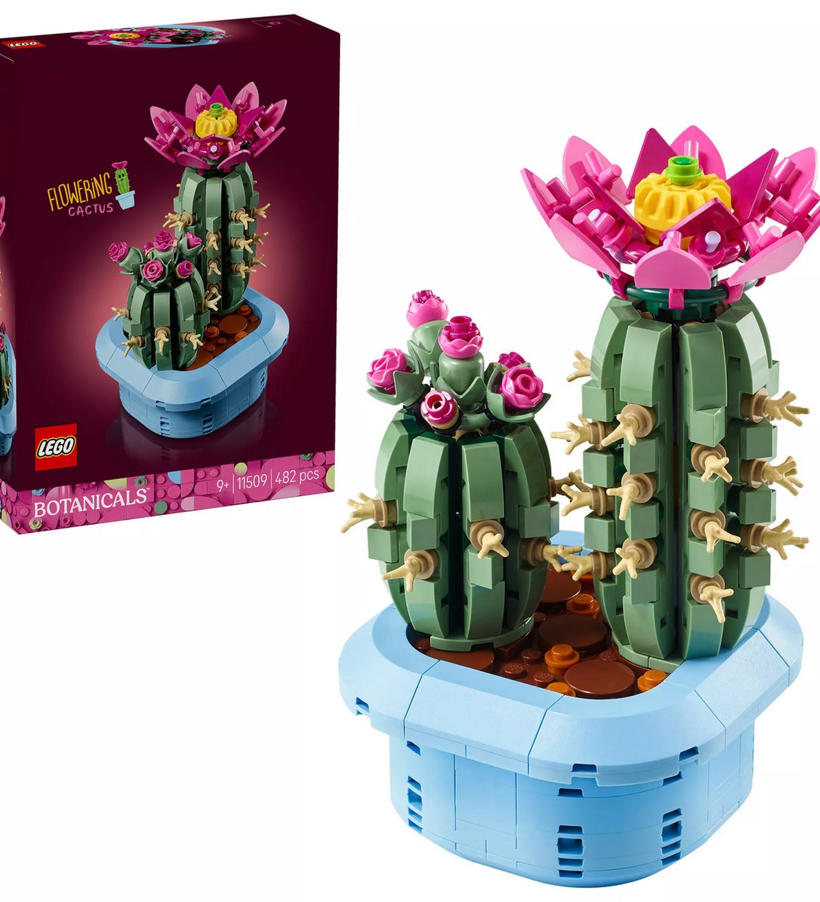 LEGO Botanicals Flowering Cactus (11509) megépített kaktusz dekoráció és az eredeti LEGO doboz egymás mellett, fehér háttéren.