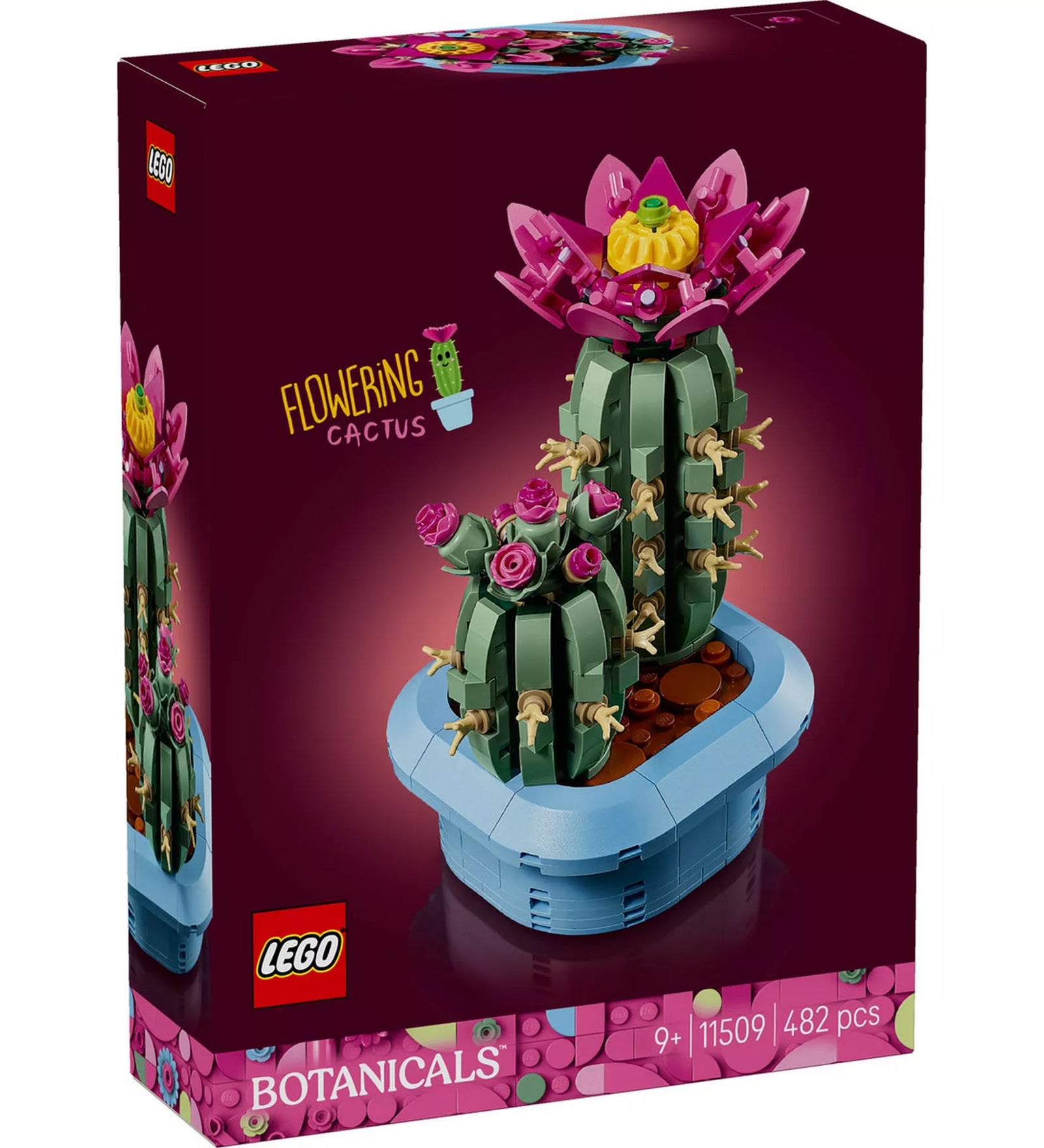 LEGO Botanicals Flowering Cactus (11509) készlet elölnézeti dobozképe, virágzó LEGO kaktuszokkal és világoskék kaspóval.