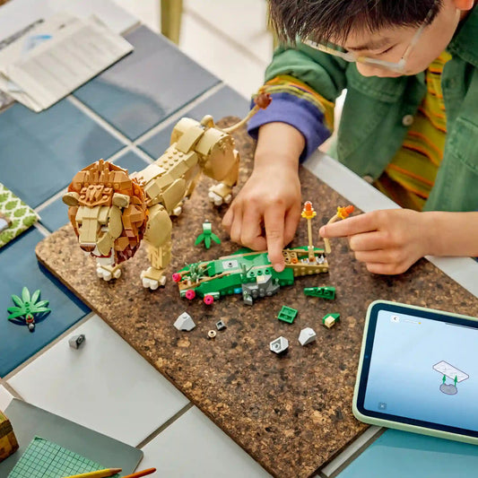 Gyermek építi a LEGO Creator Vadállatok: Fenséges oroszlán (31386) készletet egy asztalon.