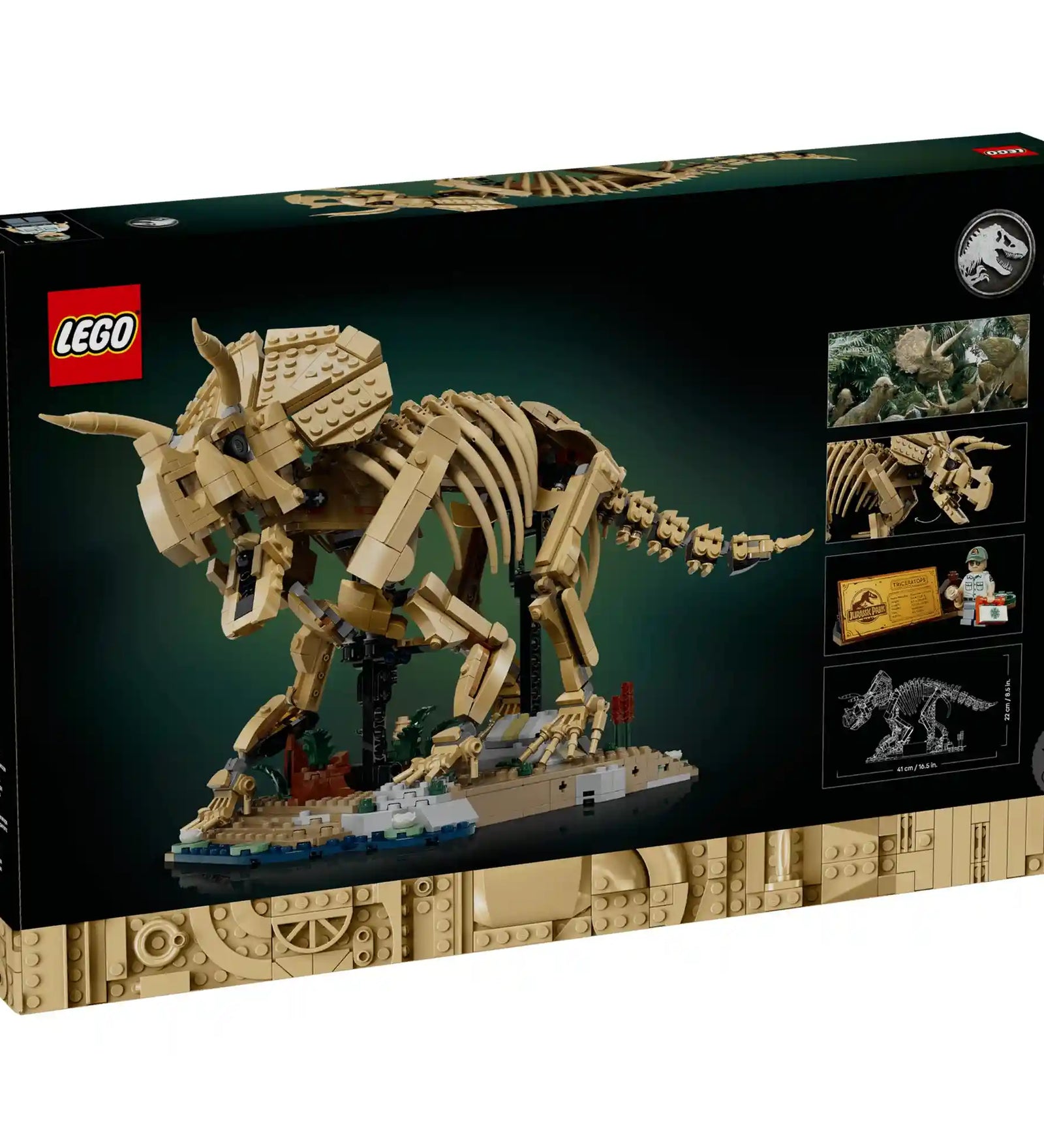LEGO Jurassic World Dinoszaurusz maradványok: Triceratops (77985) készlet hátoldali dobozképe, amely bemutatja a modell funkcióit és részleteit.